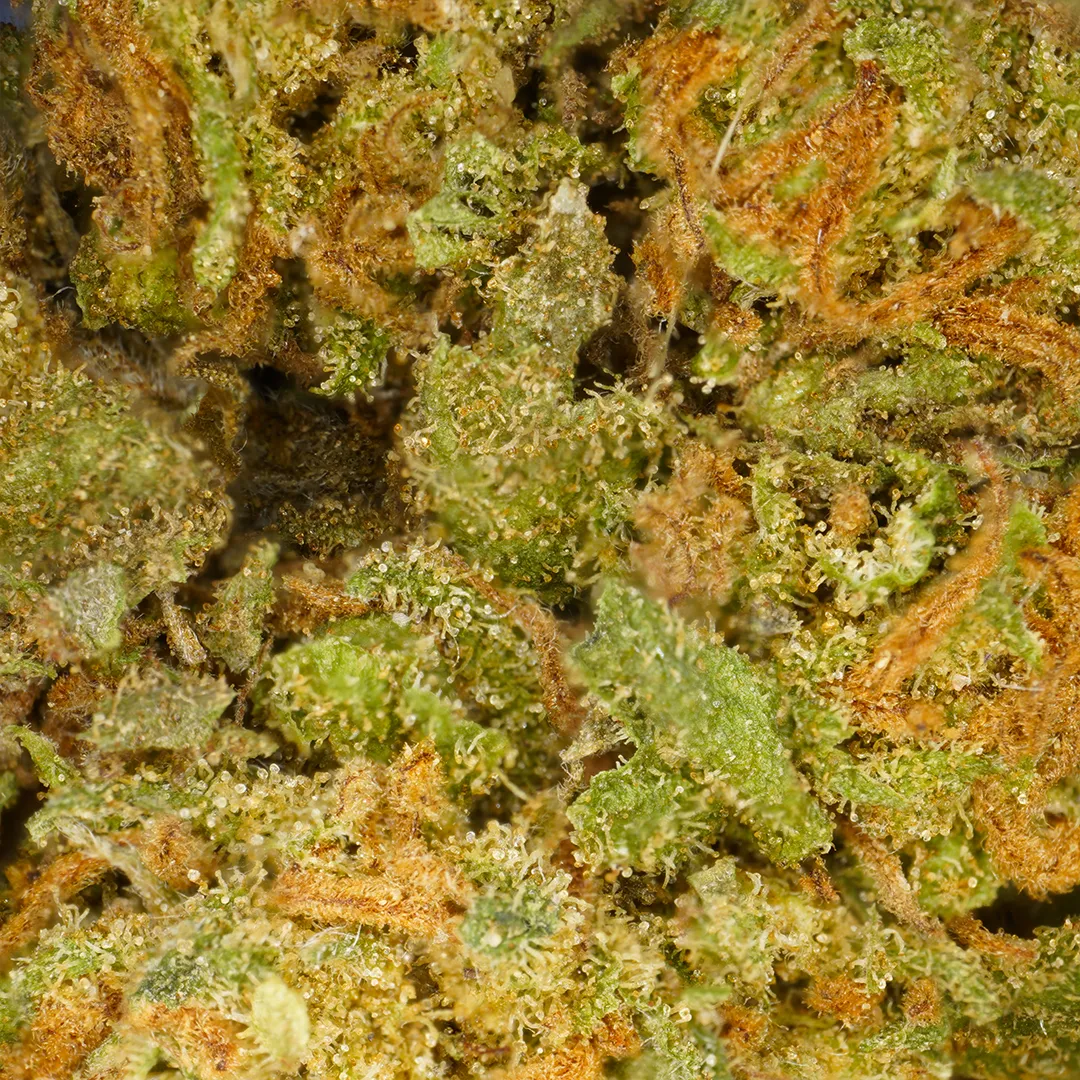 LeGrossiste Strawberry CBD-blomst 25 gram indoor