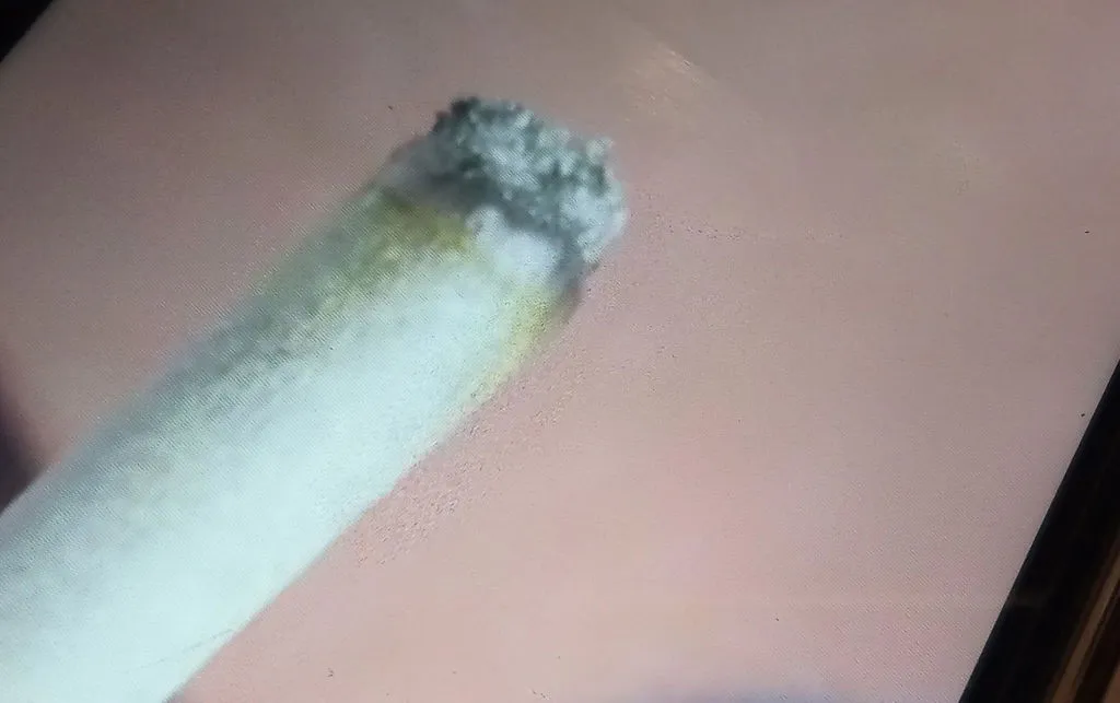 CANAPUFF T8HC Jungle Monkey joint 2g 99% tropisk