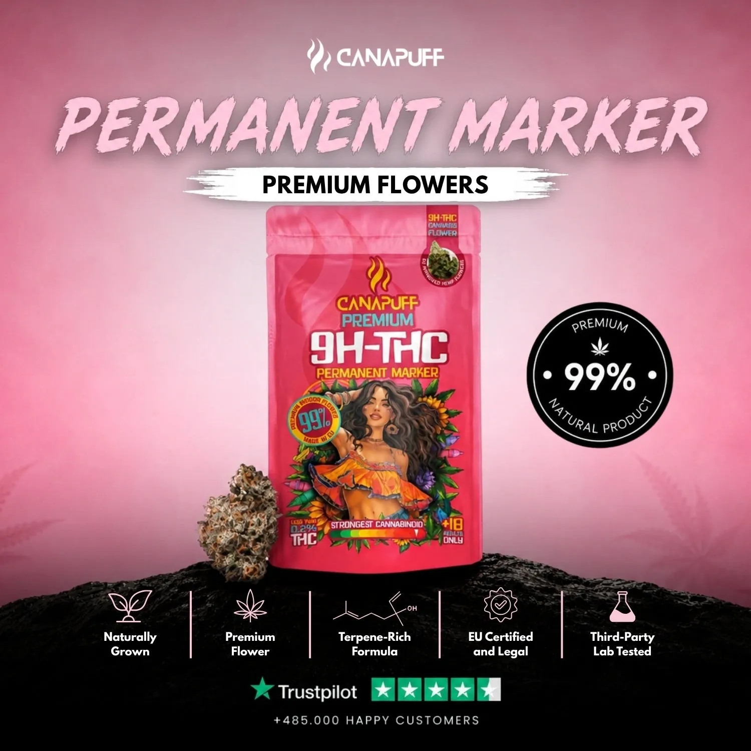 Canapuff Permanent Marker 9H-THC blomster 1g drue