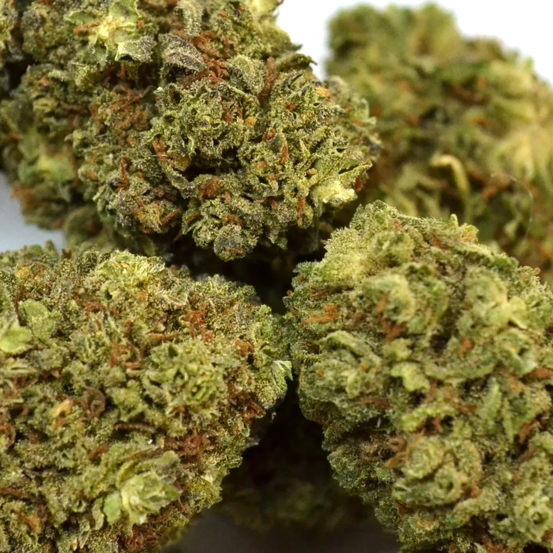 LeGrossiste AK-47 CBD-blomst 25g greenhouse søt