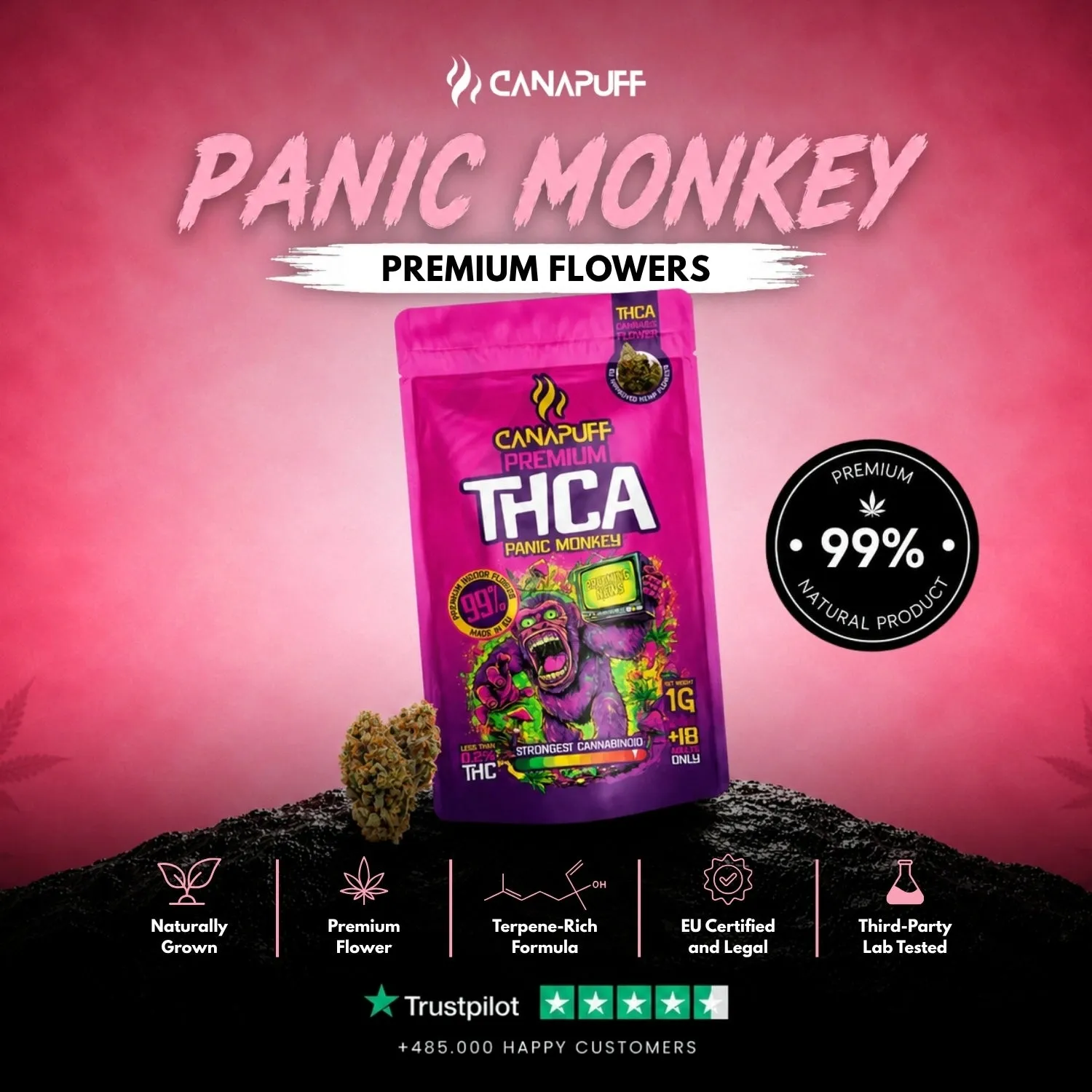 Canapuff Panic Monkey THCA-blomster 1 g 99% frukt