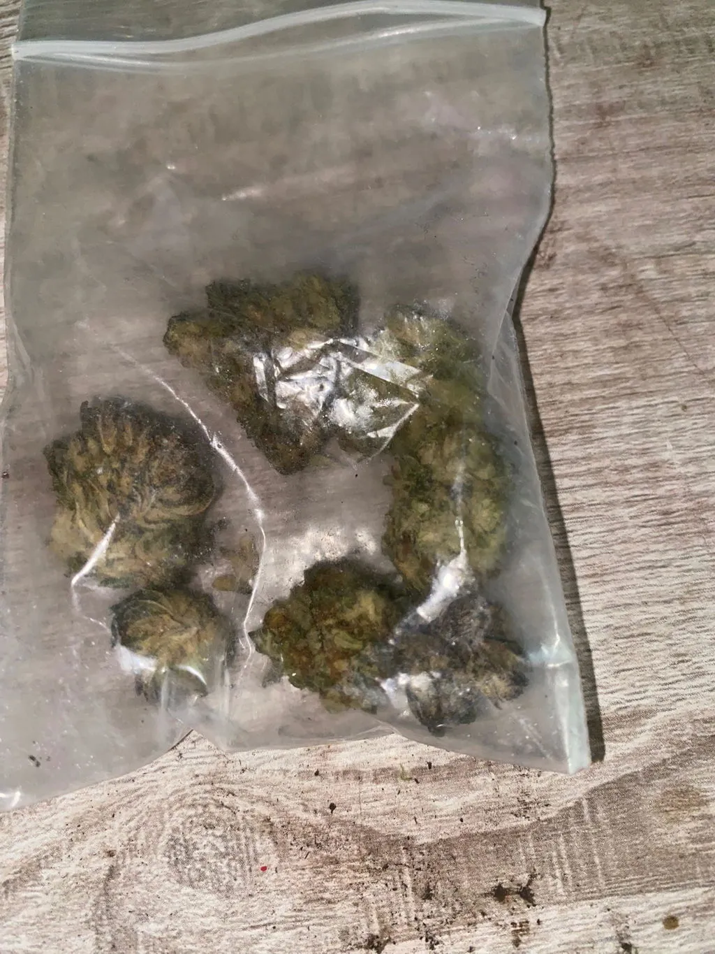 Canapuff THP420 GSC topskudd blomster 1 g 65%