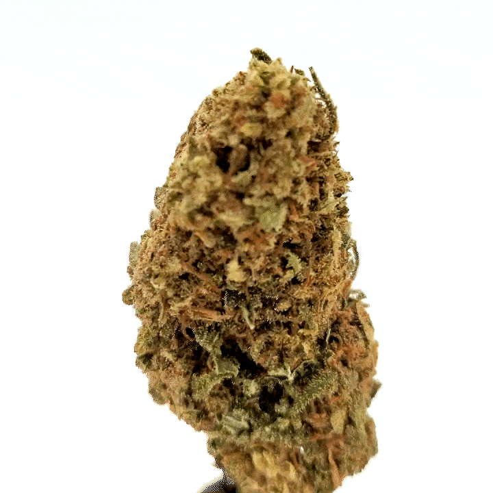 LeGrossiste Super Silver Haze CBD-blomst 2g indoor