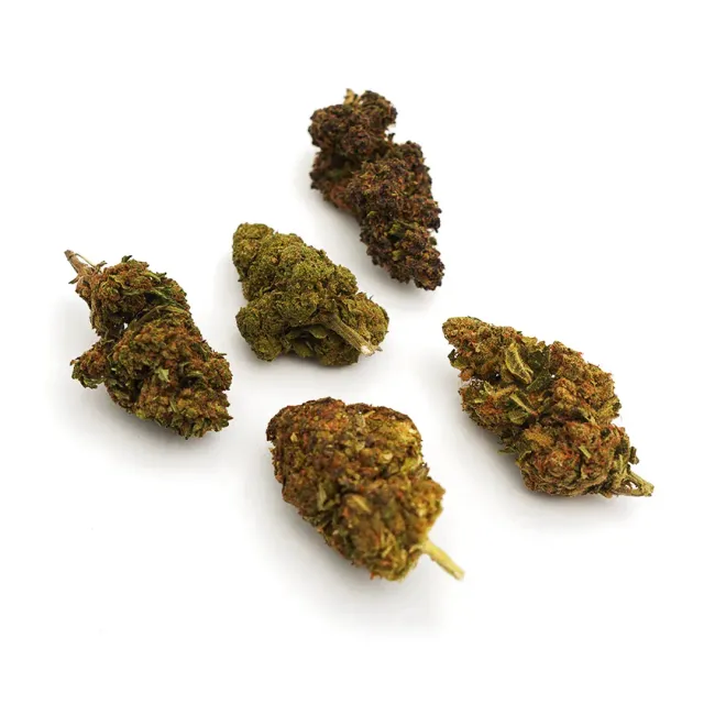 LeGrossiste CBD-blomst testpakke 5x5 g premium