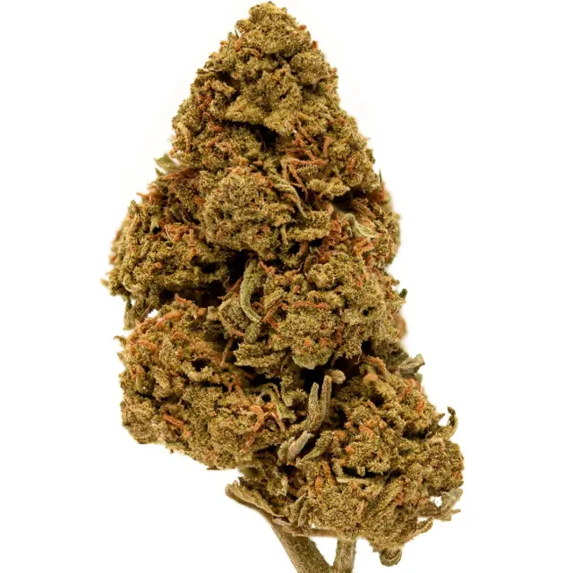 Hemeka Lemon Berry CBD-blomst 5 g indoor 19%