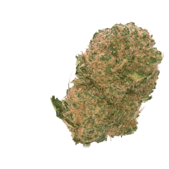 LeGrossiste L.A Cali CBD-blomst 25 g hydro
