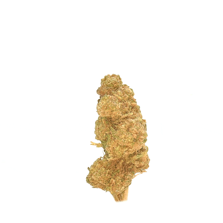 LeGrossiste Super Skunk CBD-blomster 25 g drivhus anis
