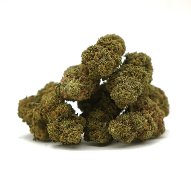 LeGrossiste Gorilla Glue indoor CBD-blomst 25g fruktig