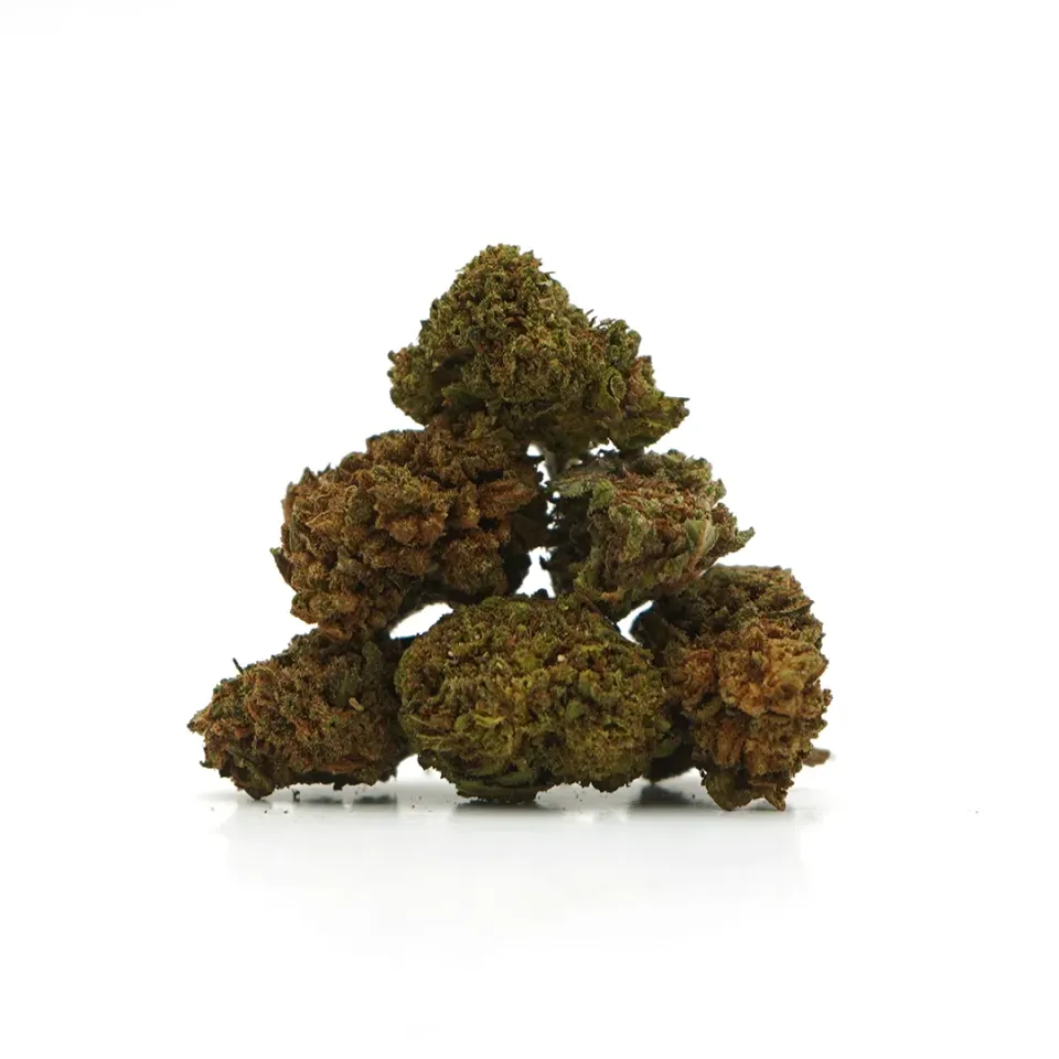 LeGrossiste Petites Têtes Cheese CBD-blomst 25 g greenhouse