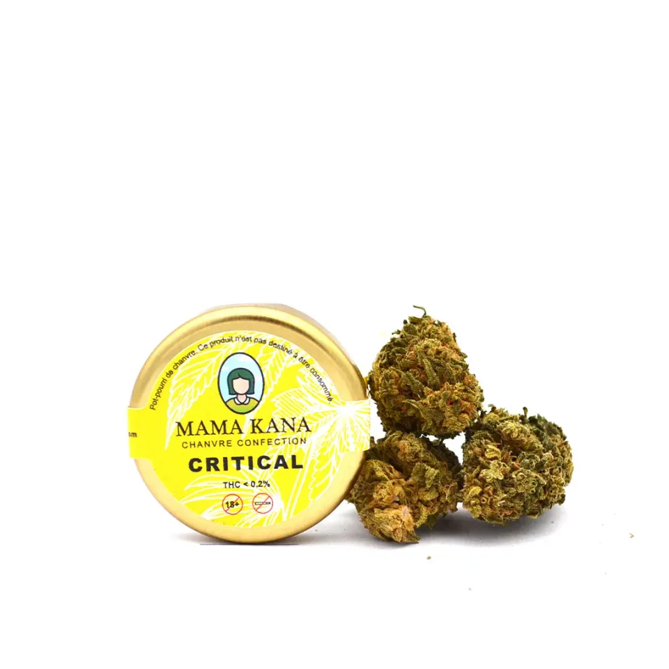 LeGrossiste Critical+ 2.0 CBD-blomst hydro 5 krukker 2g
