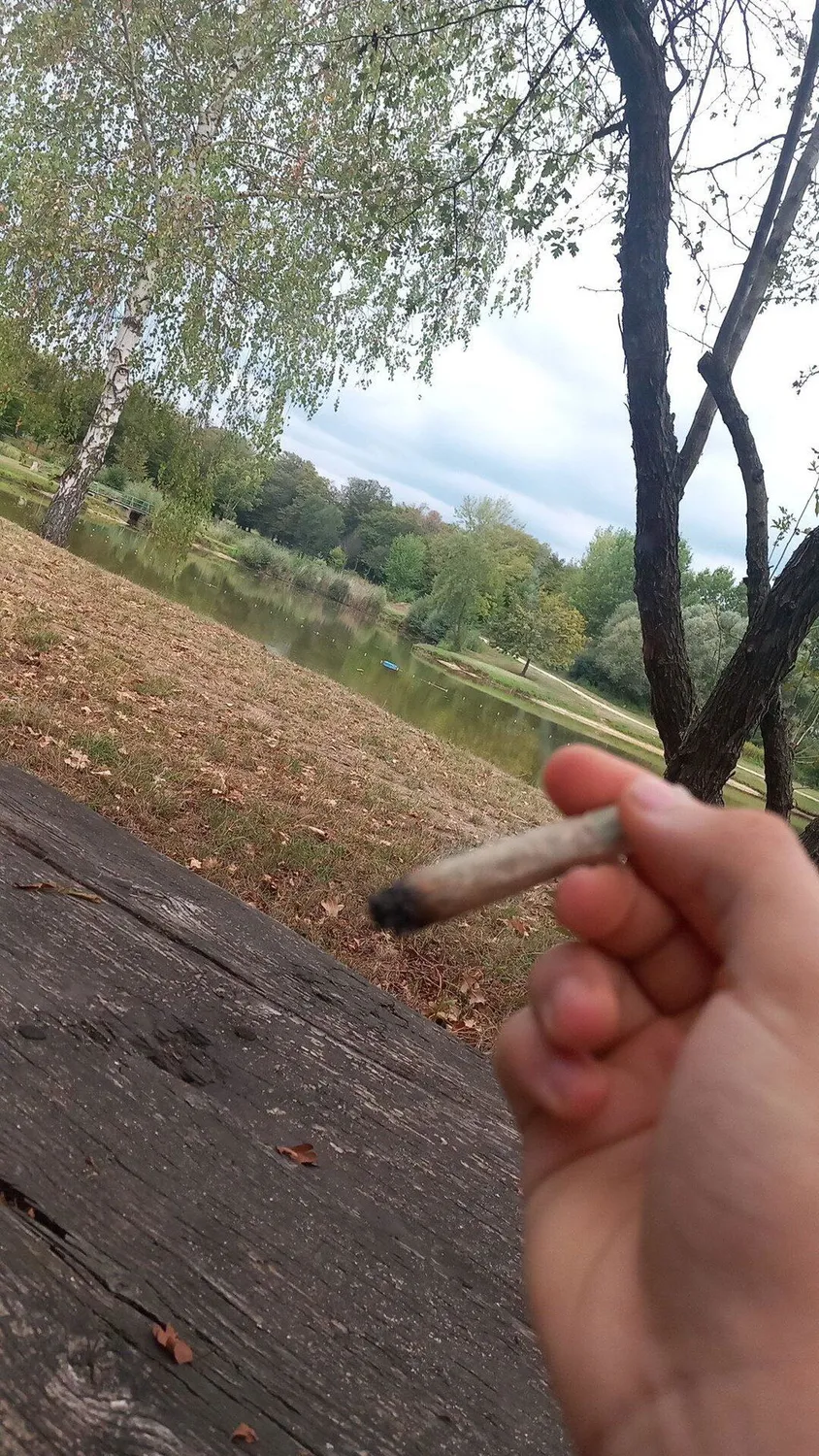 Canapuff 9H-HHCP joint Big Bad Bear 99% 2 g