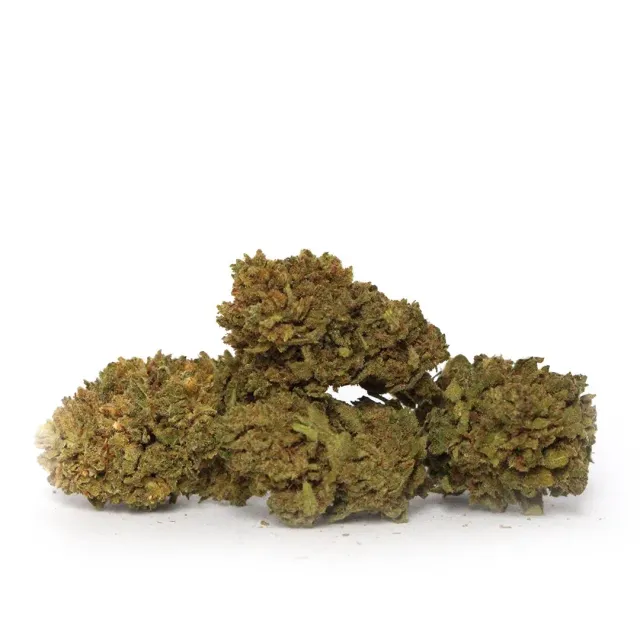LeGrossiste Lemon CBD-blomst 25 g – indoor sitron