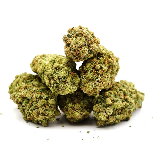 LeGrossiste Frozen CBD-blomst 25g hydro mentol