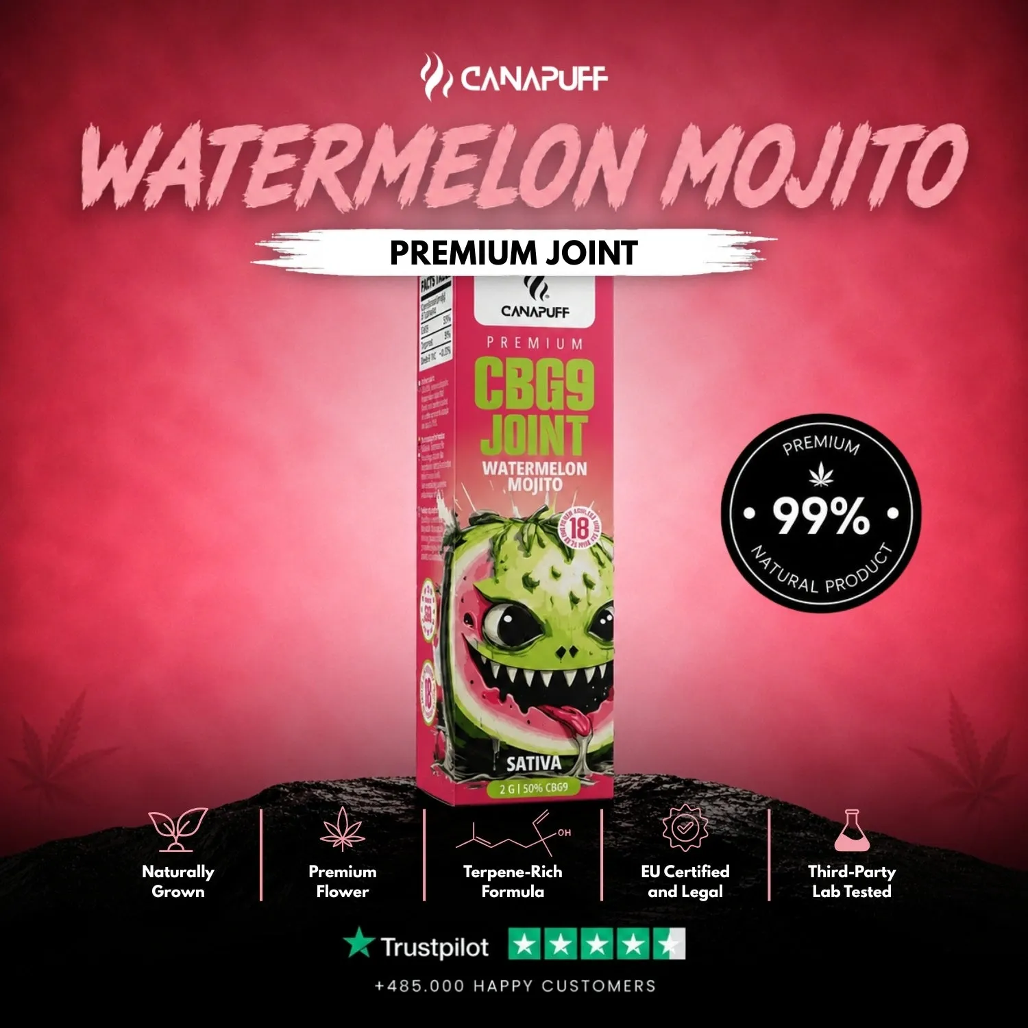 Canapuff CBG9 Watermelon Mojito joint 50% 2 g – melonmynte