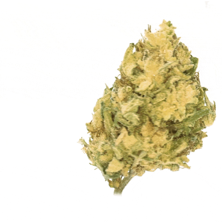 LeGrossiste Banana Cream CBG blomst 25 g greenhouse kremet