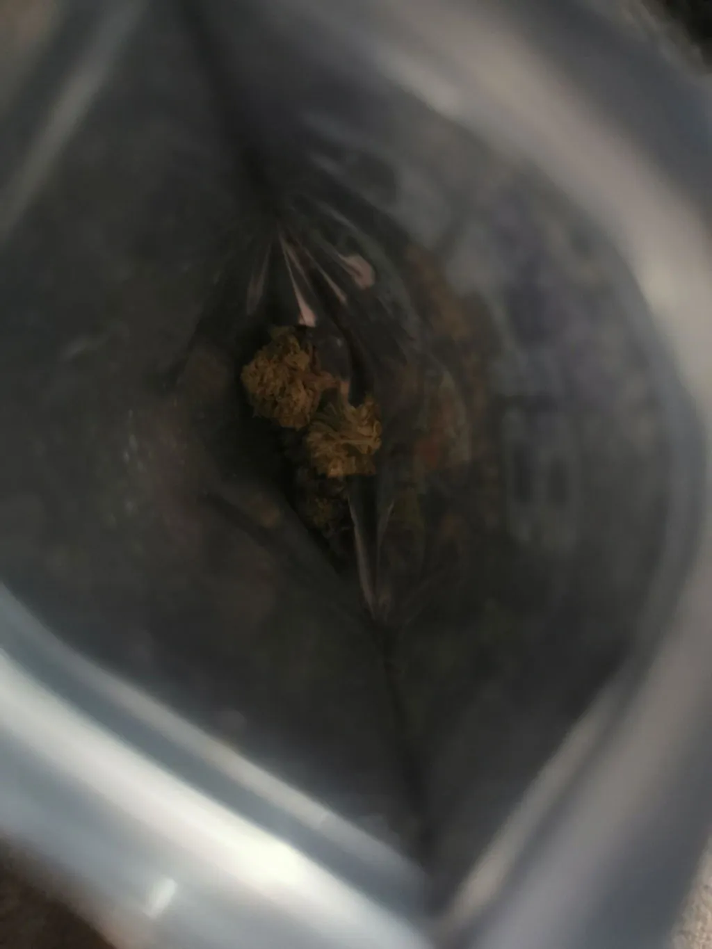 Canapuff Monkey Glue THCA-topskudd 1g harpiks