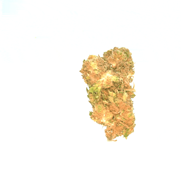 LeGrossiste Bubba Kush CBD-blomst 25 g drivhus
