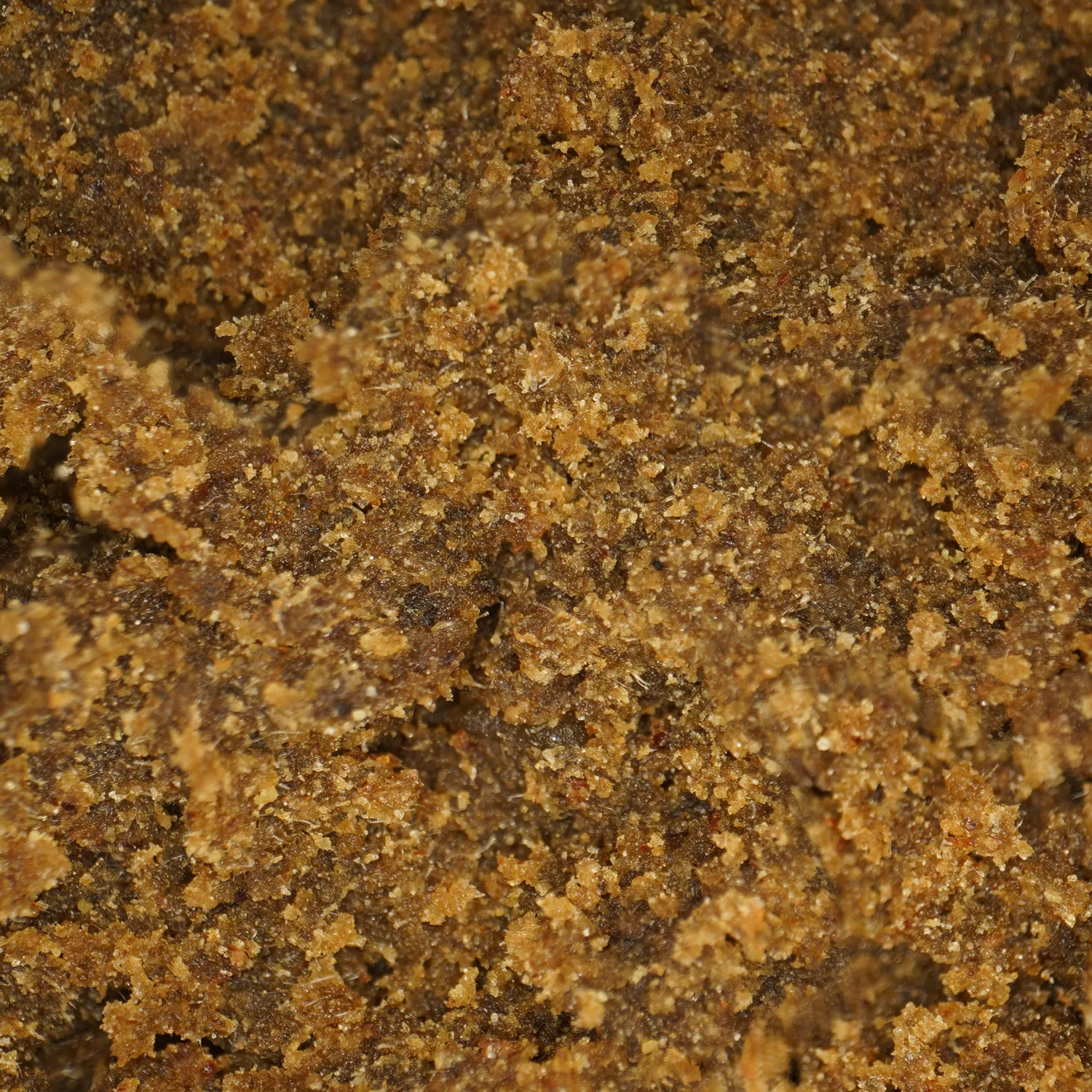 LeGrossiste Aya CBD/CBG-harsj 25 gram pepperaktig