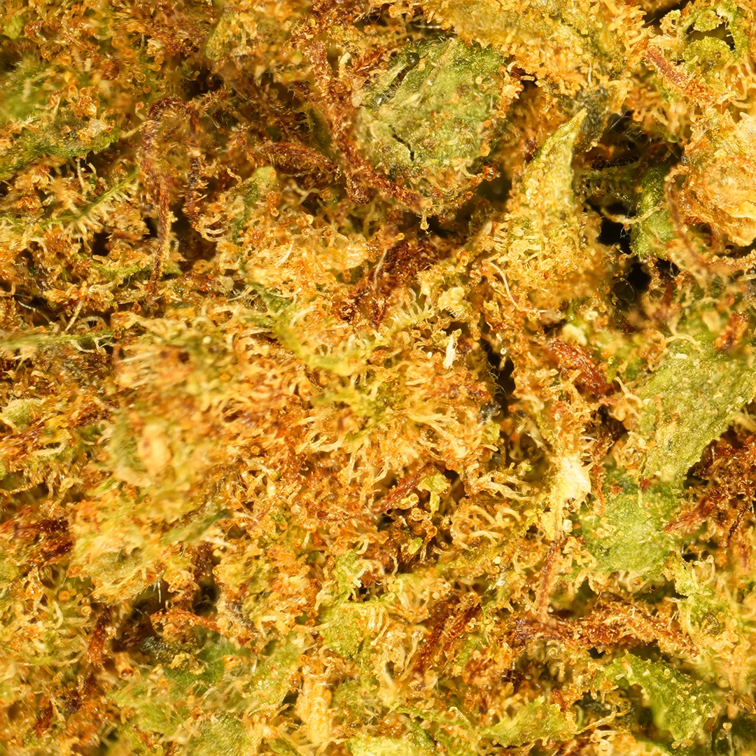LeGrossiste OG Kush små CBD-blomst 25g drivhus mynte