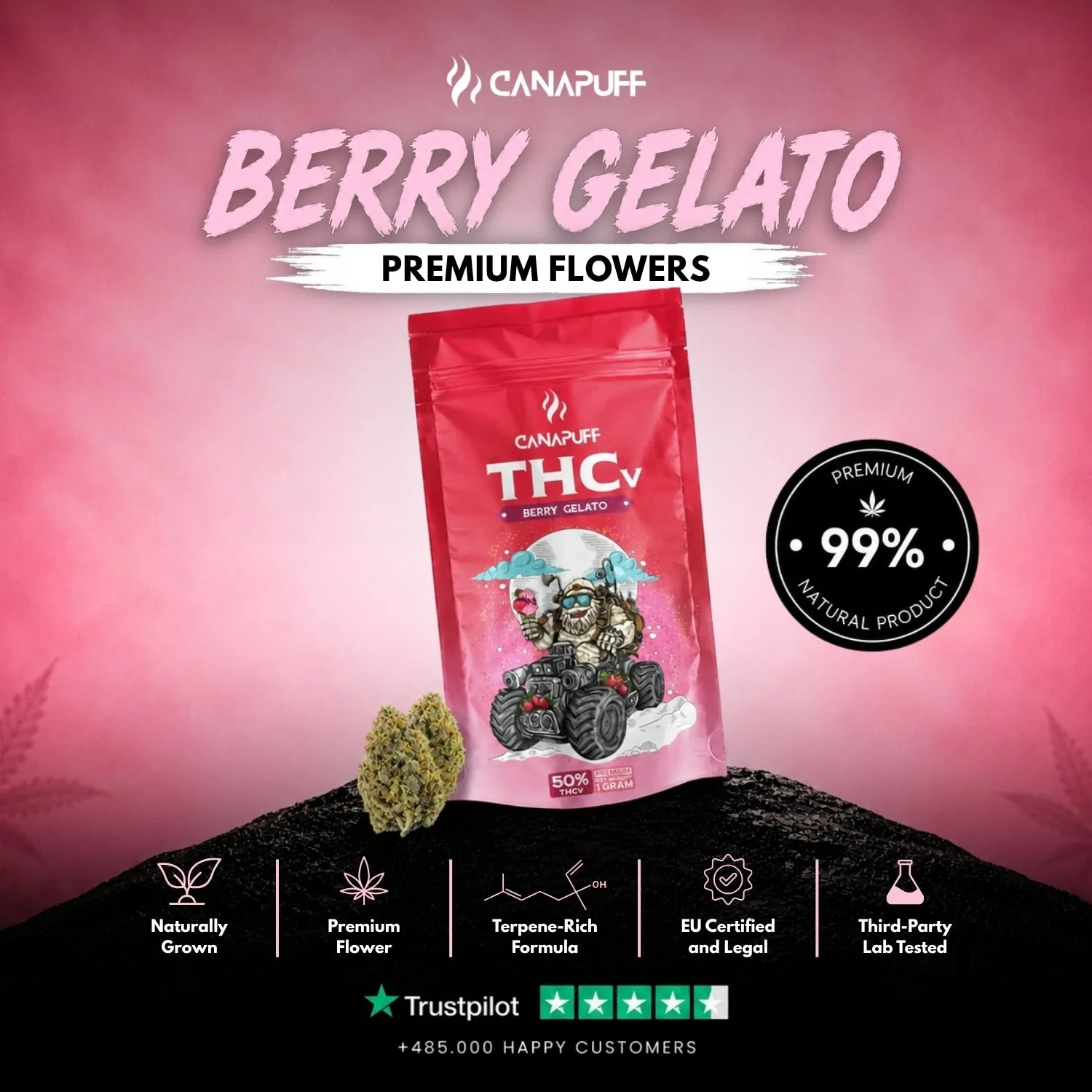CanaPuff Berry Gelato THCv-blomst 50% 1 gram