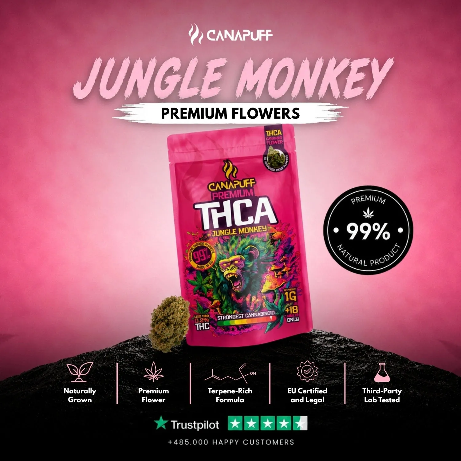 Canapuff Jungle Monkey THCA blomst 1 g jordlig