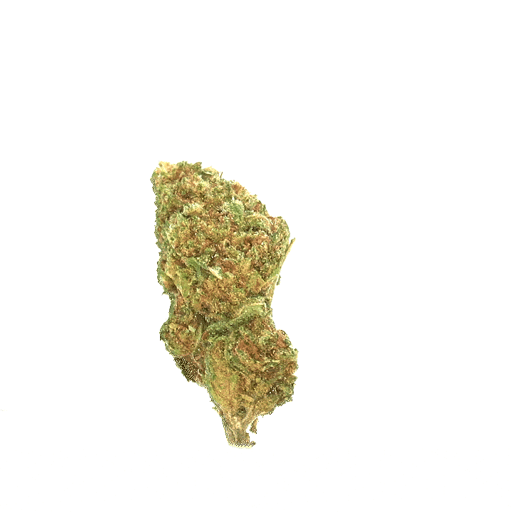 LeGrossiste Lemon Haze CBD-blomster 25 g drivhus sitron