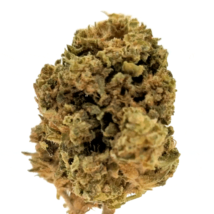 LeGrossiste Cheesecake CBD-blomst 25g indoor