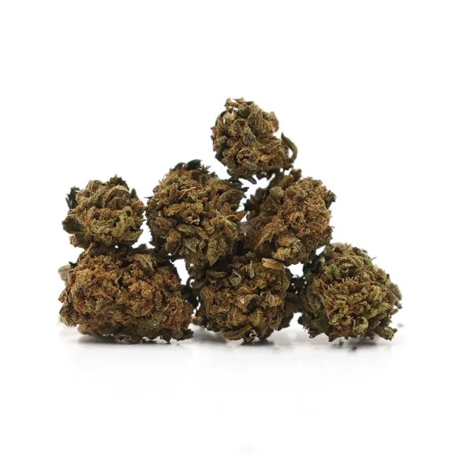 LeGrossiste Hawaiian CBD-småblomst drivhus tropisk