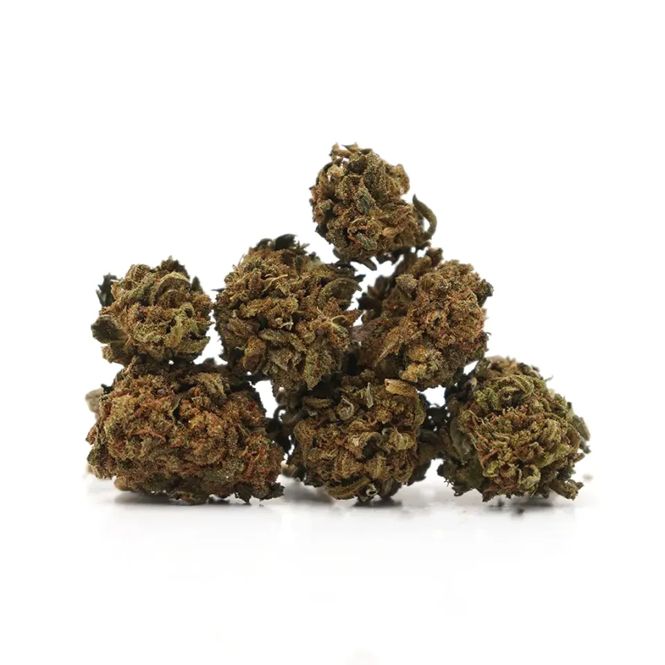 LeGrossiste Hawaiian CBD-småblomst drivhus tropisk