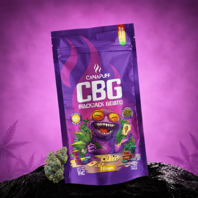 Canapuff Blackjack Gelato 69% CBG-blomst 1g blåbær