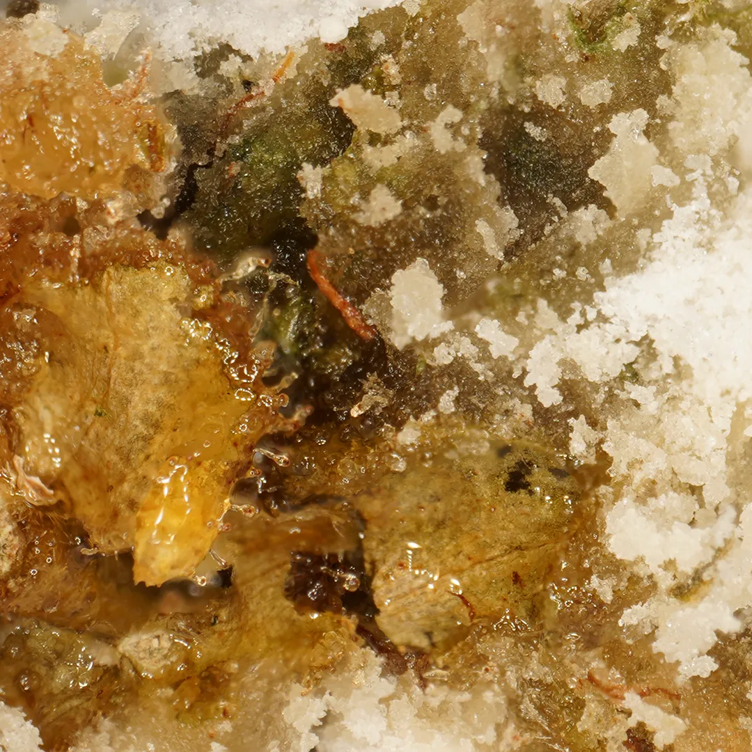LeGrossiste Ice Rock CBD-blomst Indoor 25 gram